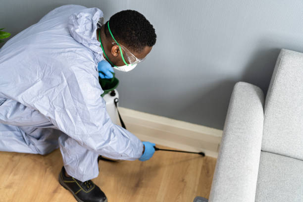 Emergency Pest Control Services in Terrace Heights, WA